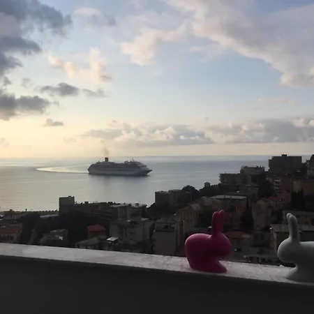 B&B Joy19 알비솔라마리나